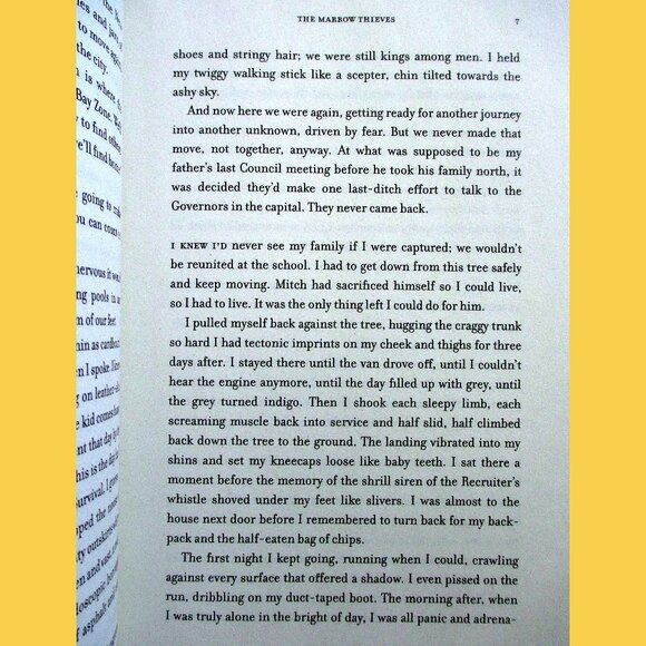 Book: The Marrow Thieves, by Cherie Dimaline (YA Fiction) - Picture 8 of 11